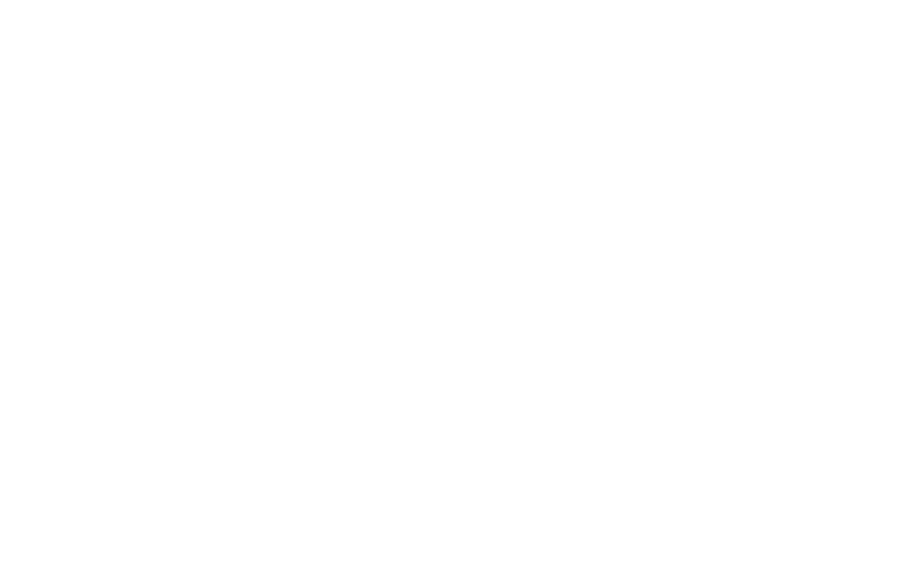 Cyber Choices Logo